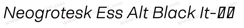 Neogrotesk Ess Alt Black It字体转换